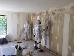 Best Mold Damage Restoration in USA